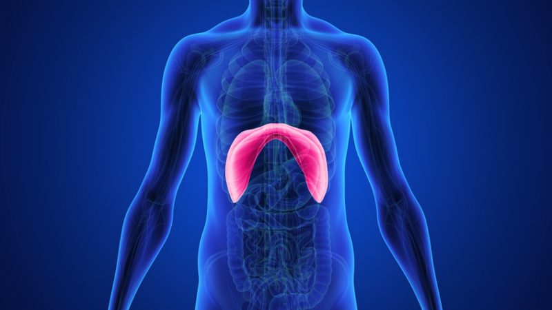 Aprende la respiración diafragmática con esta guía completa para lograr la relajación 1 Merca2.es respiración diafragmática