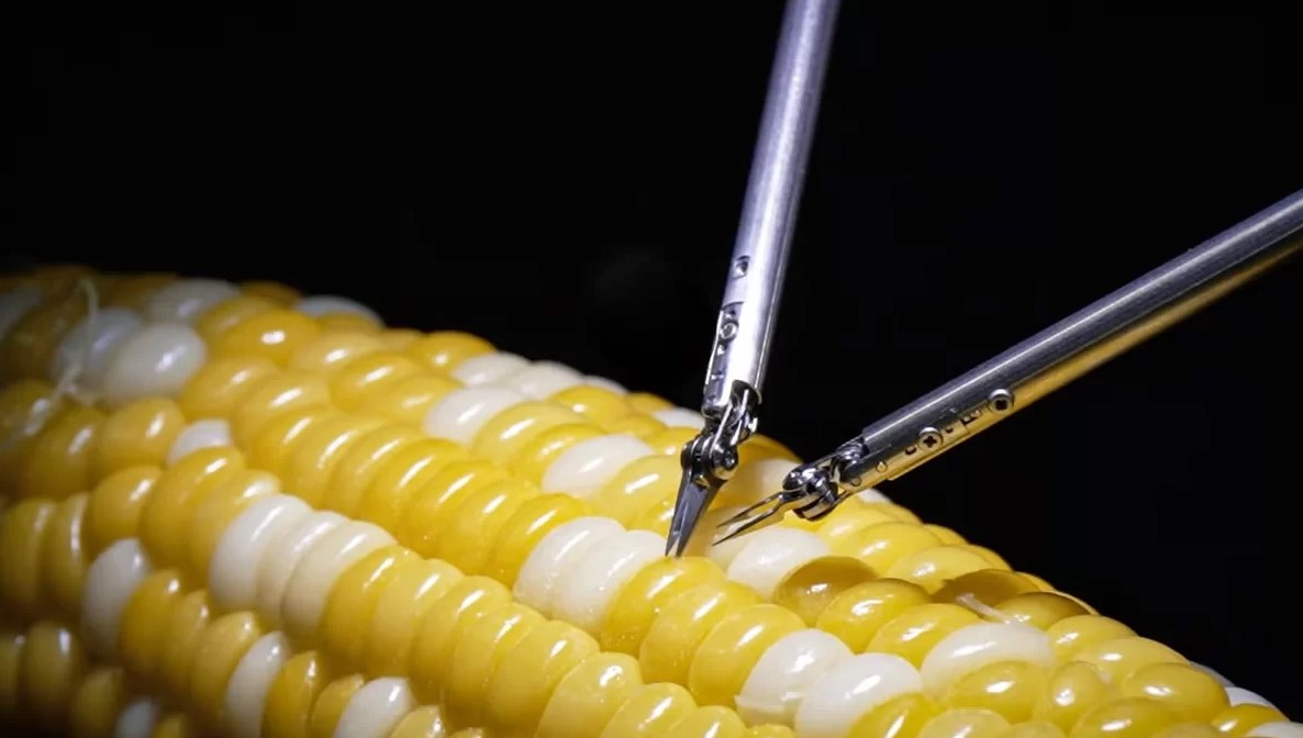 Este es el robot que puede hacerle cirugía a un grano de maíz y que pronto será utilizado en humanos