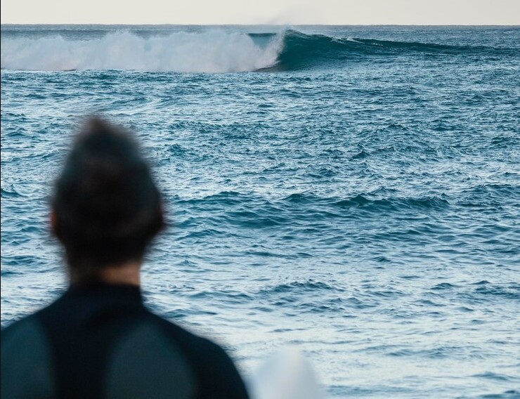 Las 3 playas en los Estados Unidos más infestadas de tiburones