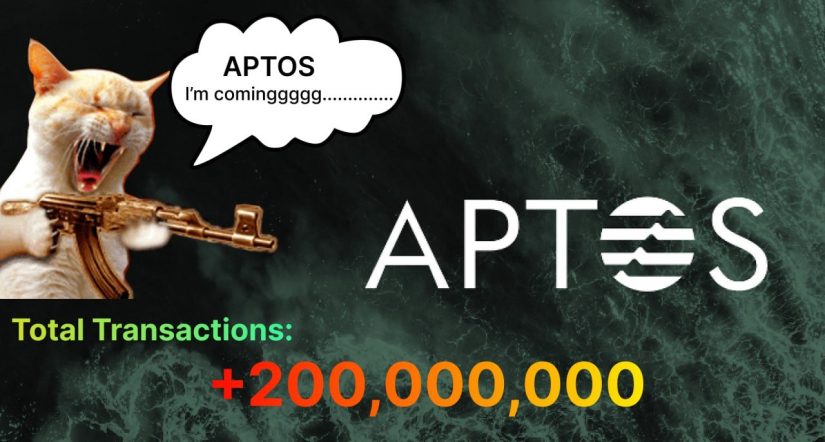 Gana dinero desde casa con la criptomoneda Tapos Cat 1 Merca2.es Así funciona Tapos Cat