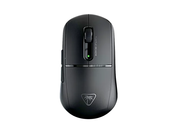 Turtle mouse