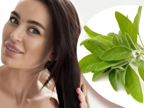 usar salvia cabello Merca2.es