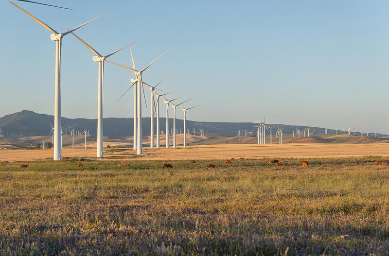 Acciona Energía repartirá 158 millones en dividendos y apuesta por un «crecimiento sostenible a largo plazo»