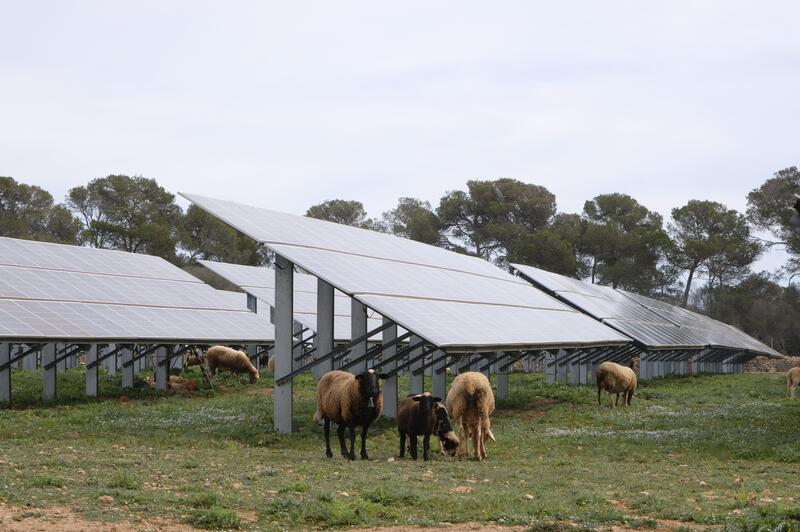 España apuesta por la innovación: el Gobierno lanza una consulta para financiar proyectos de energías renovables vanguardistas