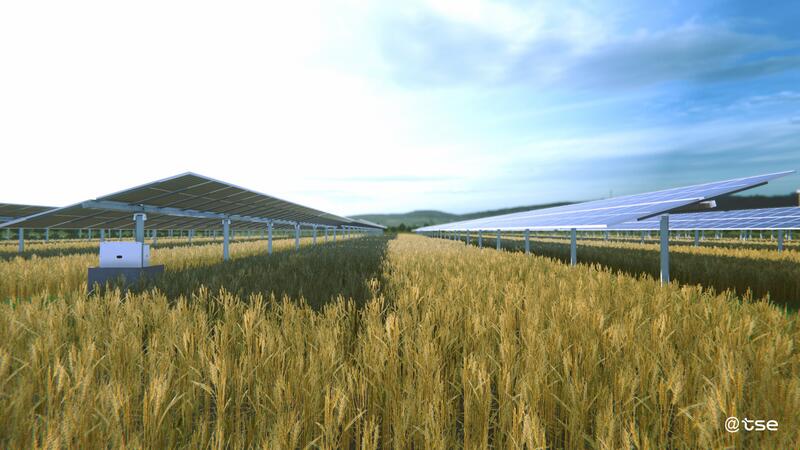 Alianza estratégica: Soltec y TSE unen fuerzas en la creación de soluciones agrivoltaicas para Francia