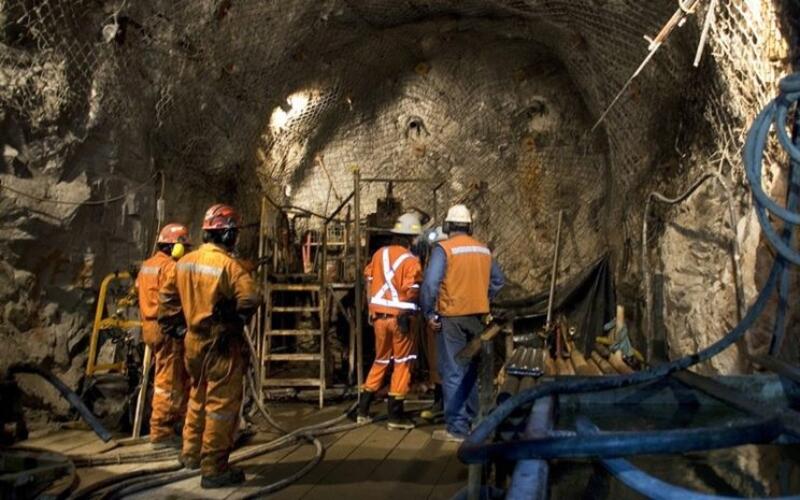 Impacto económico: La pérdida millonaria que sufriría Colombia al suspender la exportación de carbón a Israel