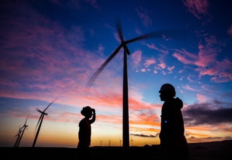 El creciente protagonismo del sector eólico en España: cubre 23% de la demanda