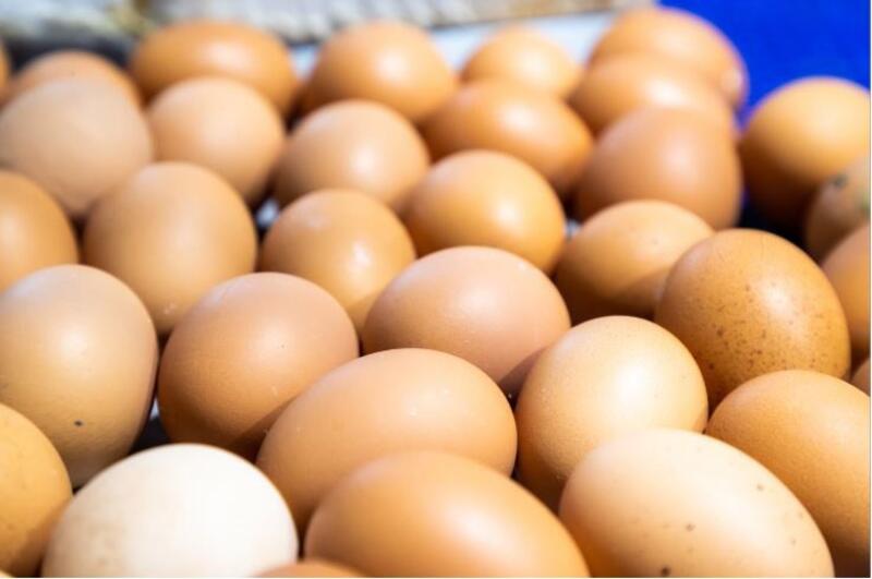 La Comisión Europea vuelve a aplicar tasas arancelarias a la entrada de avena y huevos de Ucrania al exceder las cuotas exentas