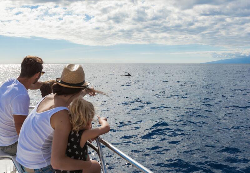 Descuento en Canarias: El Gobierno apuesta por la continuidad del 75% de descuento en billetes de barco entre islas