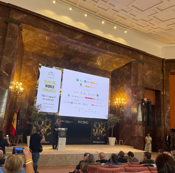 Planas resalta las extraordinarias posibilidades de expansión del aceite de oliva en los mercados exteriores
