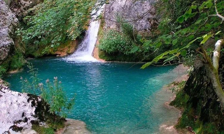 Descubre los parques naturales más impresionantes de España 5 Merca2.es 4283942464 b2626e3e3a b 54 800x479 1 Merca2.es