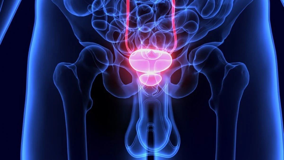 Descubren una relación entre la cantidad de eyaculaciones y el riesgo de sufrir cáncer de próstata