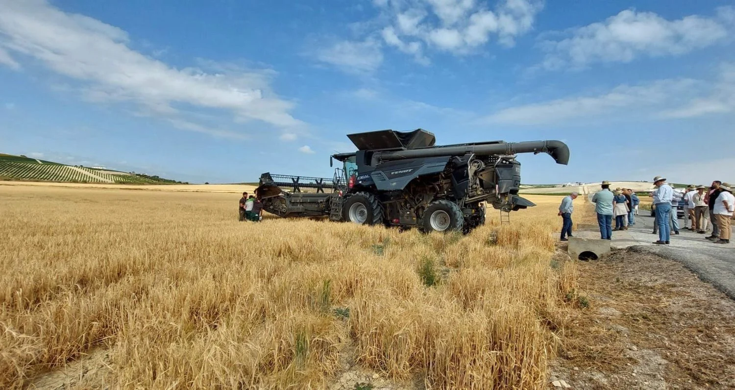 Agroseguro recuerda que son los últimos días para asegurar la cosecha de cereales de invierno frente al pedrisco