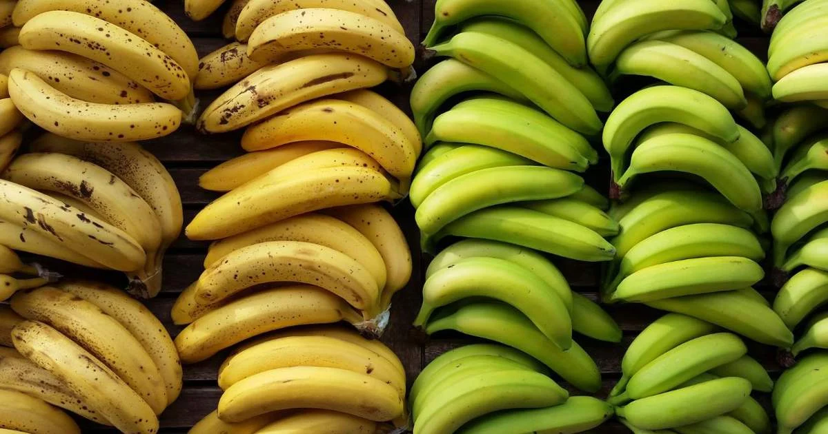 Los plátanos: verdes o maduros ¿cuáles son más sanos?