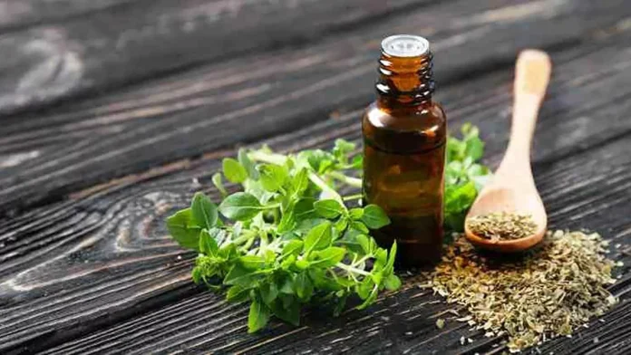 Mejora tu salud y previene enfermedades con una sola hoja de esta planta