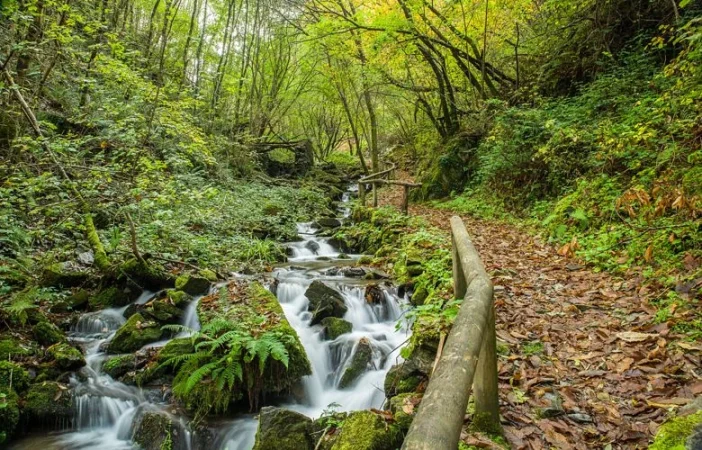 Sendero ruta del agua. Taramundi Merca2.es