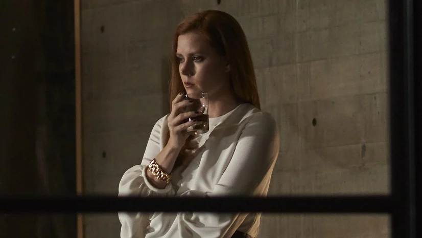 Un crimen visto desde la ventana: El impactante thriller de Netflix protagonizado por Amy Adams 1 Merca2.es Animales nocturnos: un thriller que conquista a los usuarios españoles de Netflix