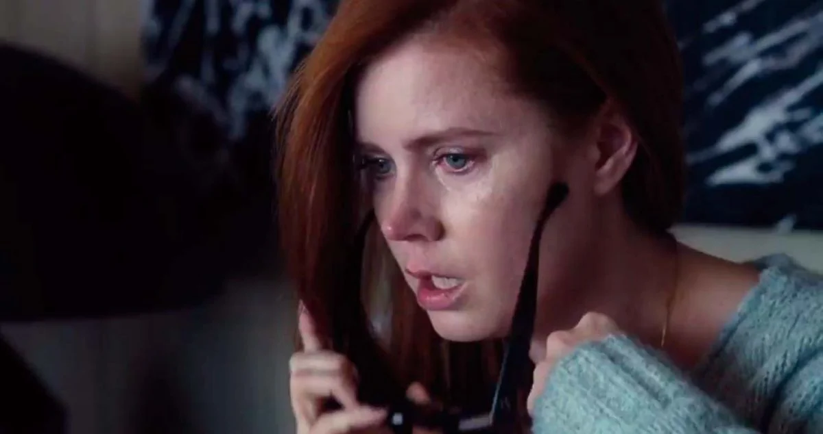 Un crimen visto desde la ventana: El impactante thriller de Netflix protagonizado por Amy Adams 2 Merca2.es Un thriller que logró revolucionar al género y conquistar a la crítica