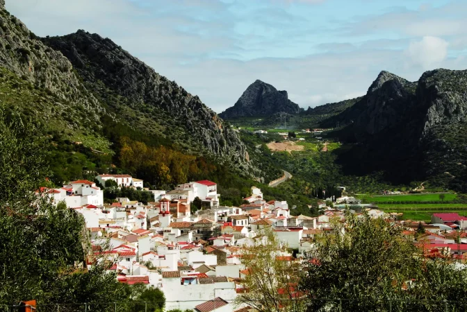 benaoja Merca2.es