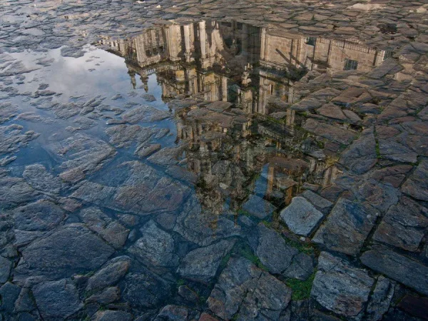 charco Merca2.es