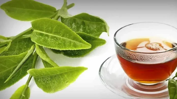 Las hojas de frutas que combaten el cáncer y que los médicos no te recetan