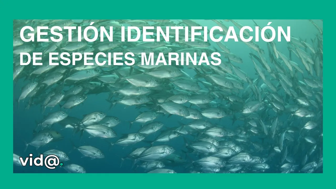 Tecnología para la identificación de especies marinas
