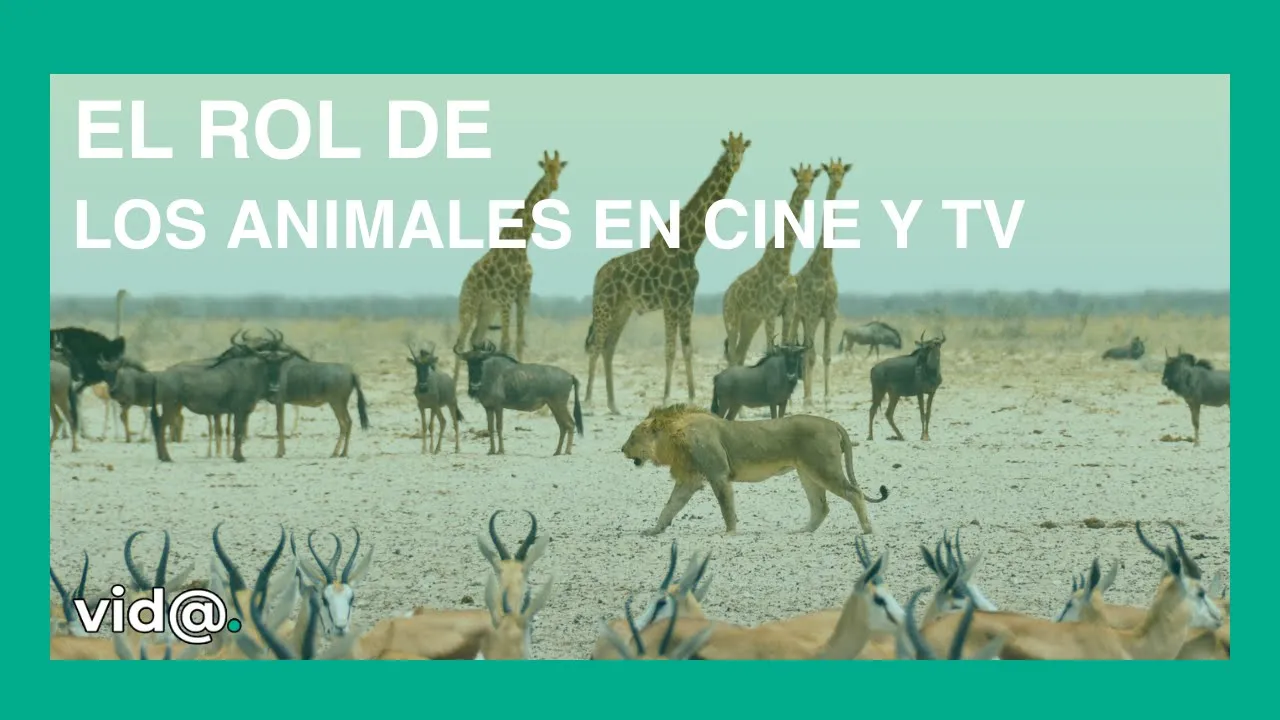 El rol de los animales en cine y TV
