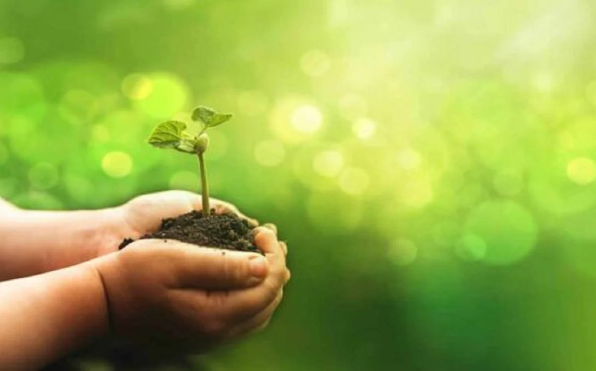 El Hospital Universitario La Luz celebra el Día Mundial del Medio Ambiente con significativos logros en sostenibilidad