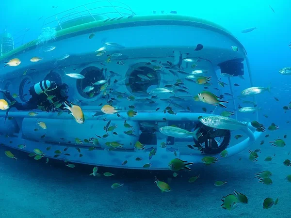 peces Merca2.es