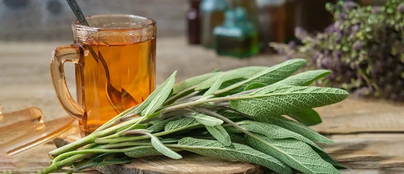Remedio natural para reducir los ovarios poliquísticos 6 Merca2.es Remedio natural para ovarios poliquísticos