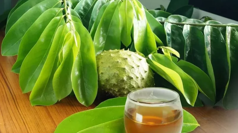 cáncer