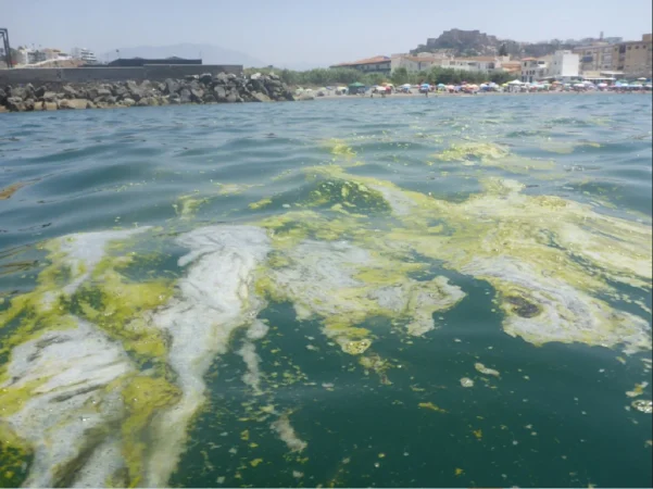 vertido mar salobrena Merca2.es