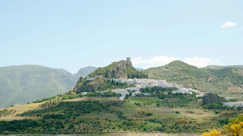 zahara Merca2.es