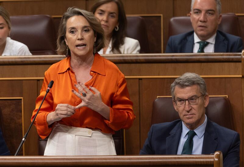El PP sugiere actuar con cautela en el desarrollo de energías limpias para no perjudicar la economía