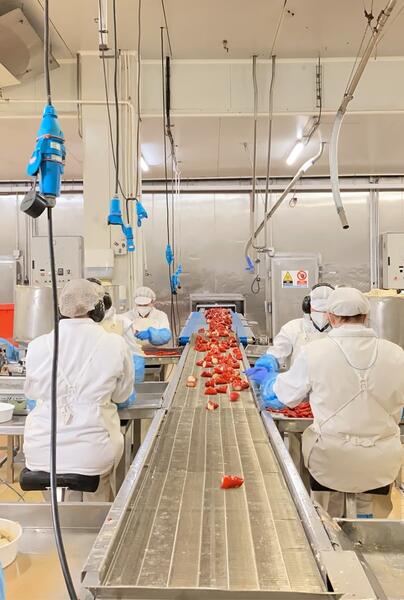 Participación del 31,5% de Stellum Food & Tech en la empresa de precocinados Urkabe Benetan tras la operación de adquisición