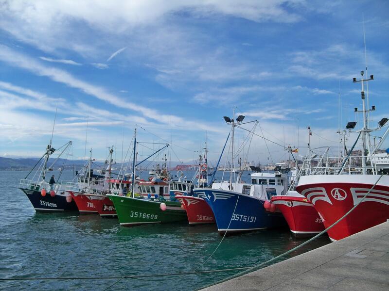 España aparece al frente de la lucha europea contra la pesca irregular y no declarada