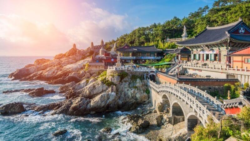 El récord histórico del sector de viajes y turismo en Japón este 2024