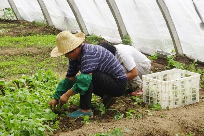 La Seguridad Social alcanza nuevo récord de afiliación de extranjeros en junio