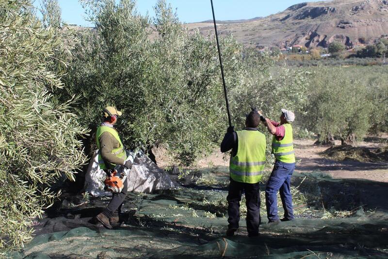 UPA y el Ministerio de Inclusión abordan las características específicas del trabajo rural y la carencia de mano de obra