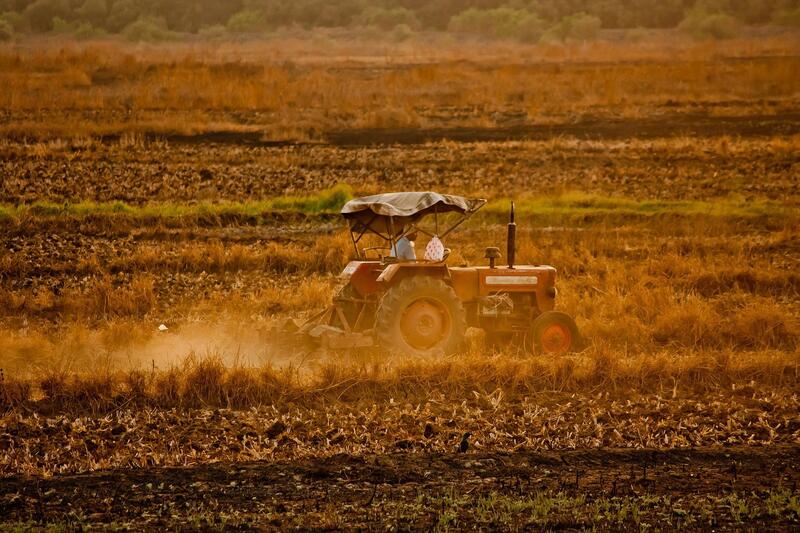 Casi 600.000 productores agrícolas y ganaderos presentan la petición unificada de las subvenciones de la PAC para 2024