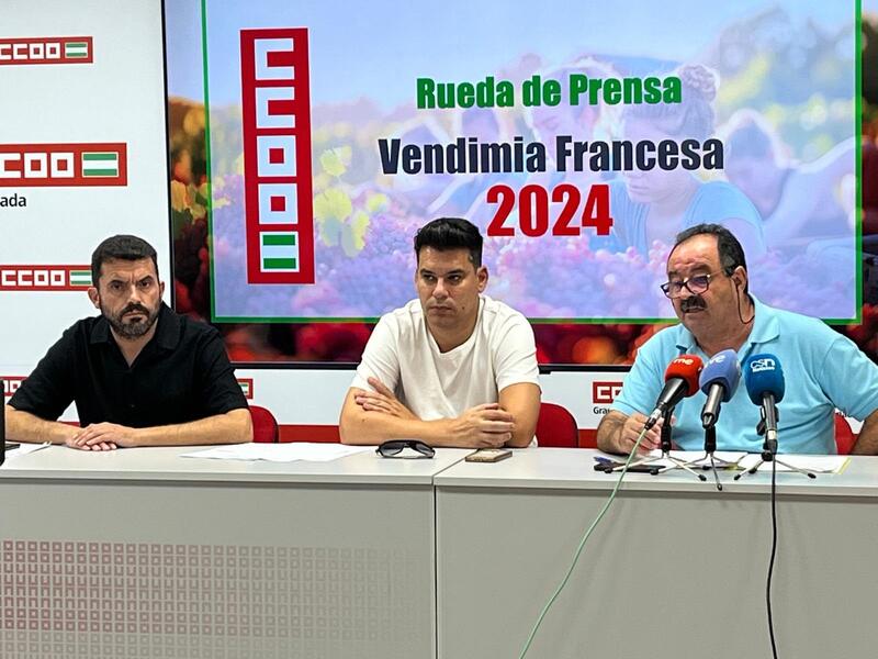 La vendimia francesa contará con unos 15.000 trabajadores provenientes de España, según revela CCOO