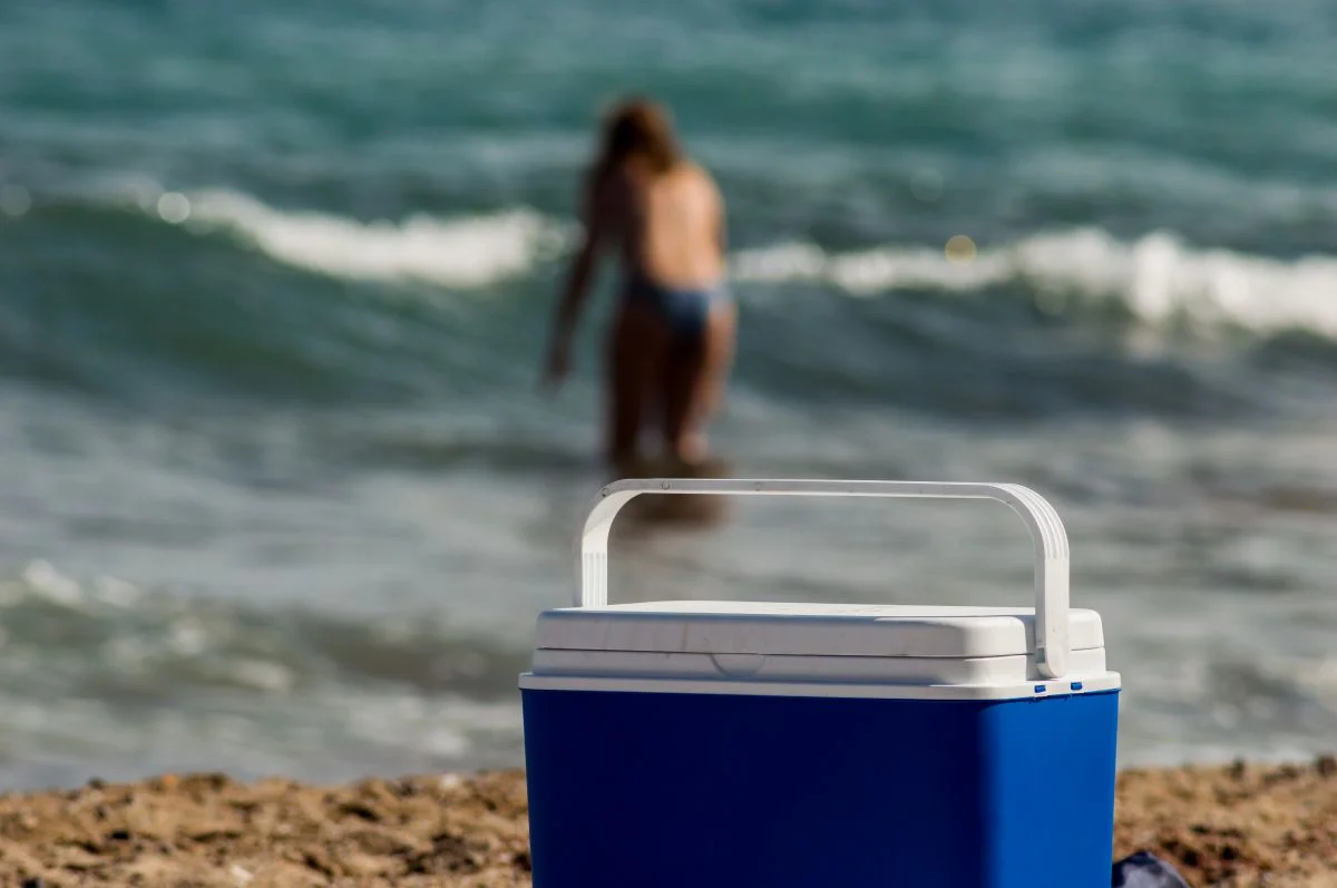 Con este truco tendrás tu nevera bien fresquita este verano sin necesidad de llenarla de hielos