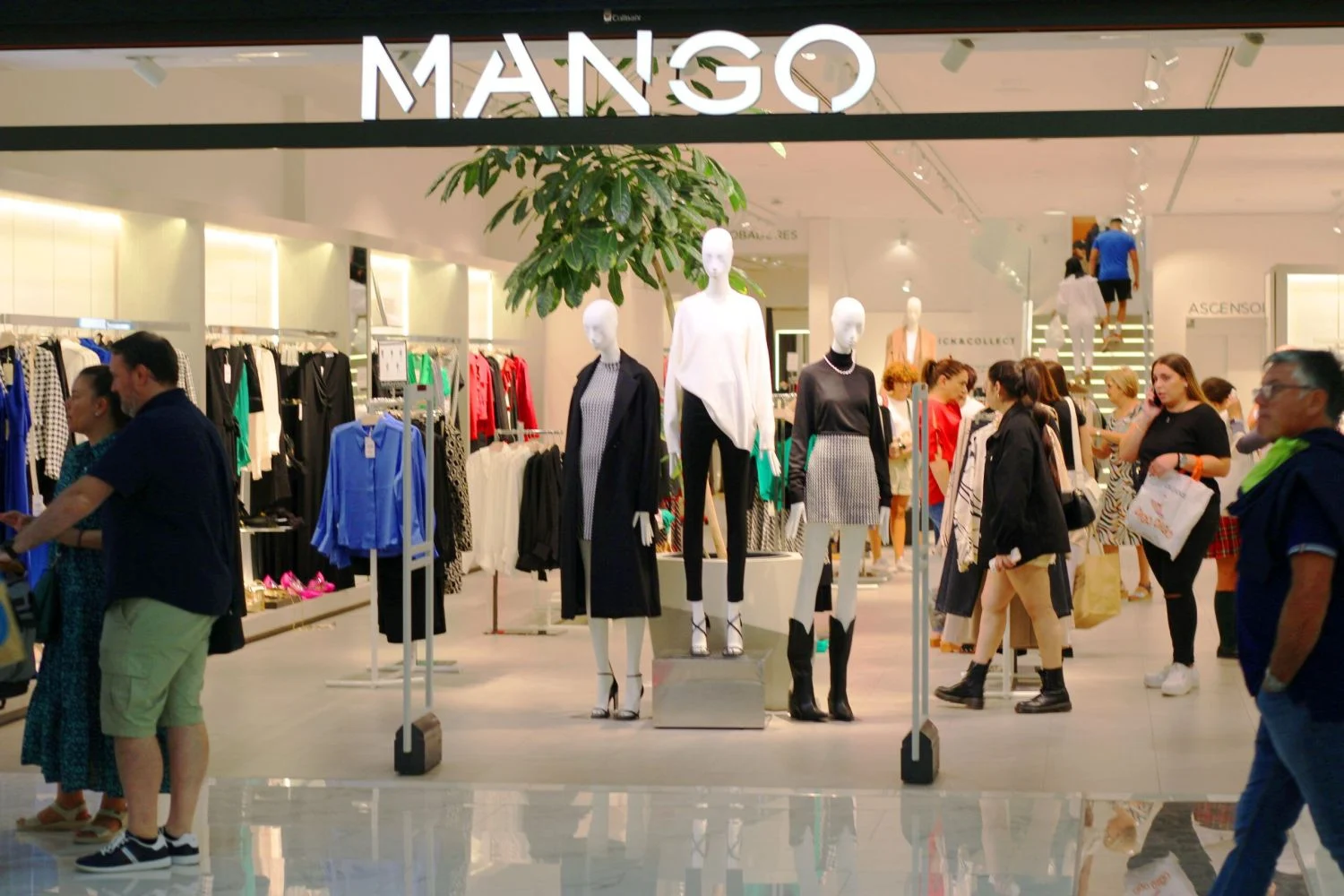 Ya puedes ir fresquita y con estilo gracias a estos pantalones cortos de Mango