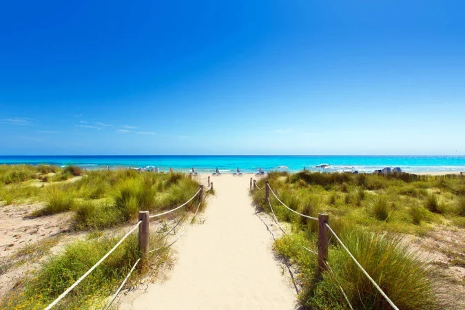 playa de son bou 00000000 5300b4cb 230622160523 1200x800 Merca2.es