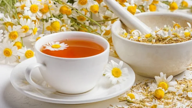 Remedio milenario: El poder curativo del té de manzanilla 
