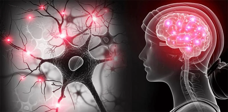Este síntoma oculto podría ser la primera señal de Parkinson