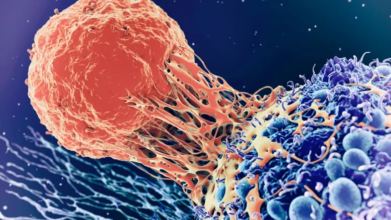 Los tipos de cáncer que debes monitorear según tu edad
