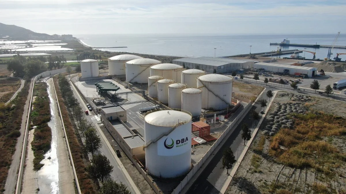 Las claves de la transición energética responsable: ¿estamos preparados para la descarbonización?