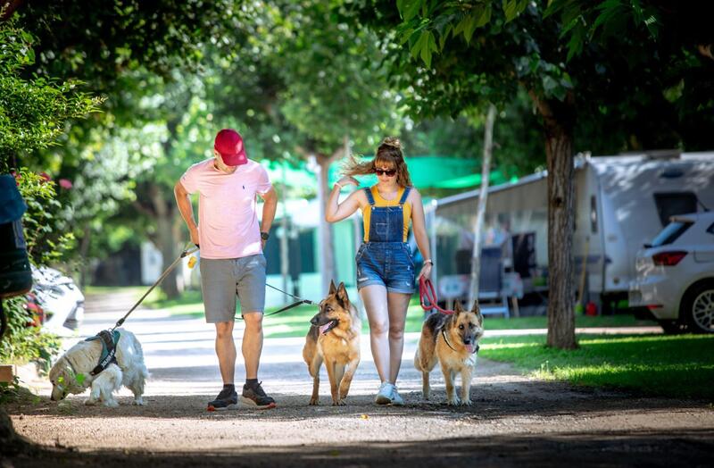 Los campings se unen a las voces que rechazan el próximo registro de clientes del Ministerio del Interior
