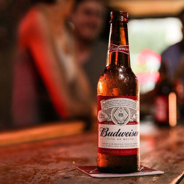 Rusia frena la oferta de Anadolu Efes para adquirir la participación de AB InBev en una joint venture rusa